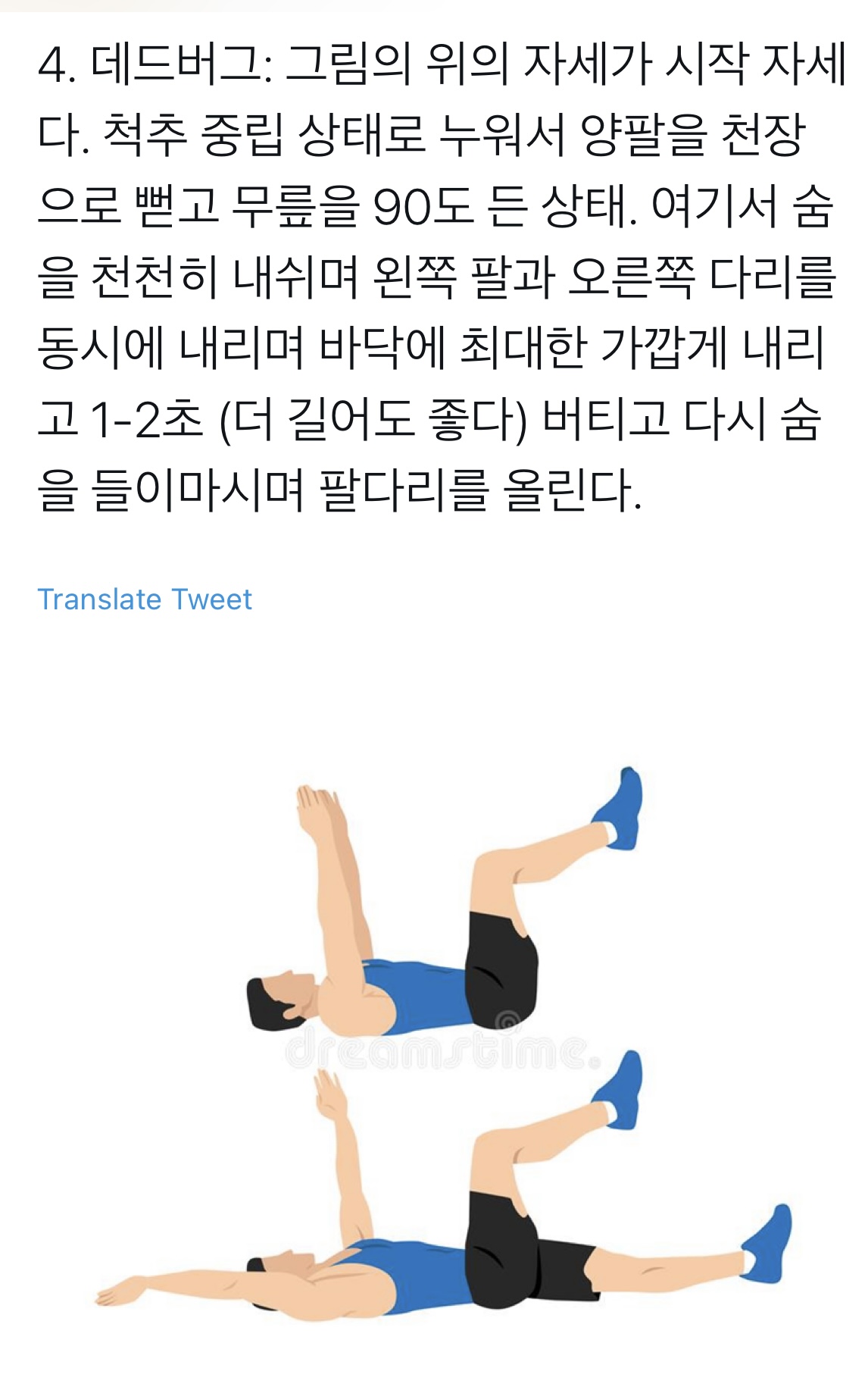 코어의 중요성과 허리가 안좋아도 할 수 있는 6가지 운동법 | 인스티즈