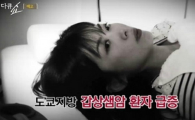 한국 관광객들 수년 간 피폭 | 인스티즈