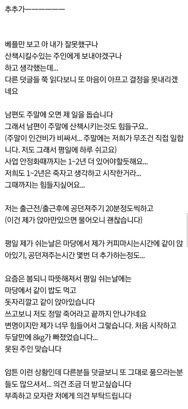 [네이트판] 마당이 있는데 개 산책을 시켜줘야하나요? | 인스티즈