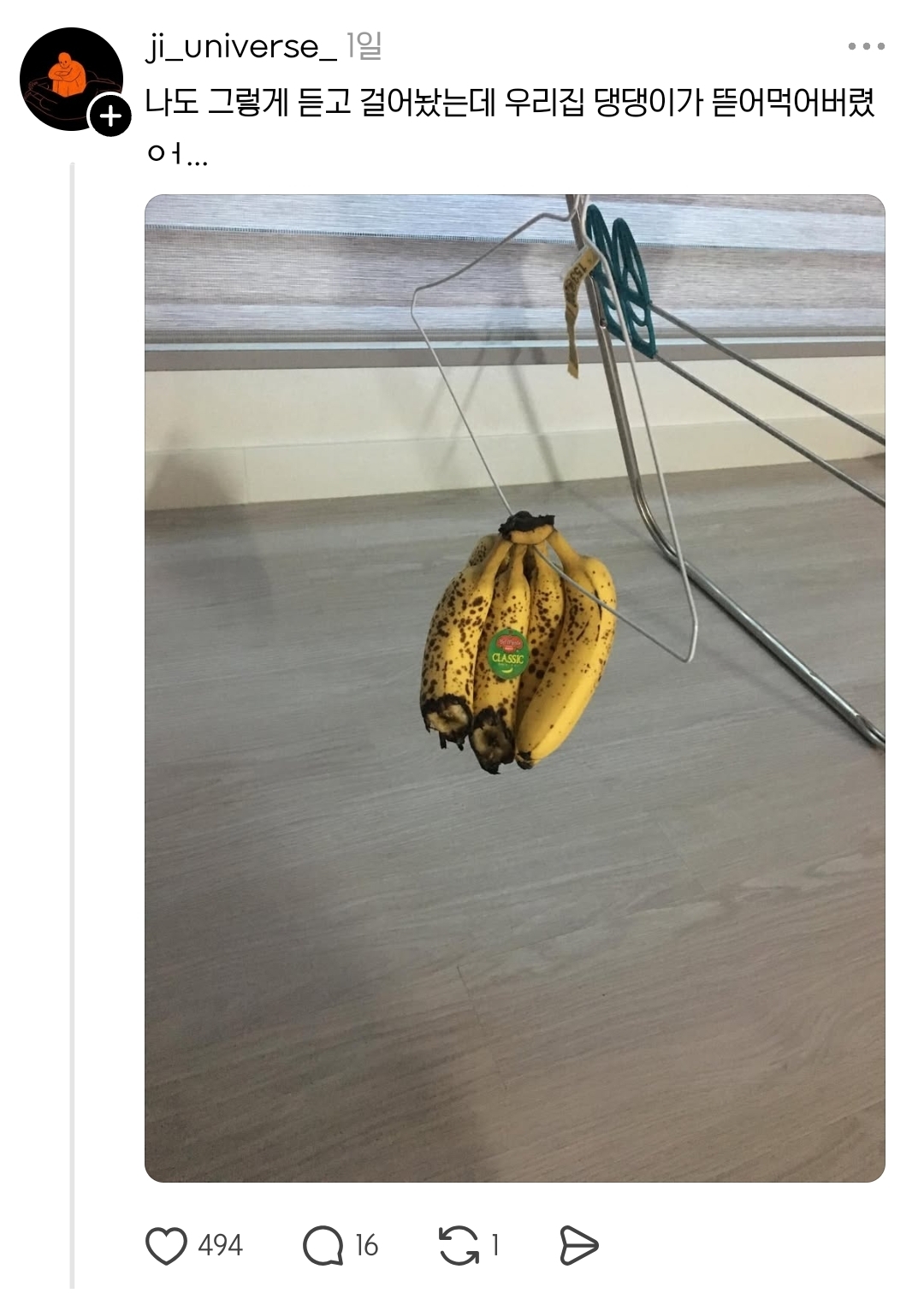바나나 걸어 놓으면 오래 간다면서요... | 인스티즈