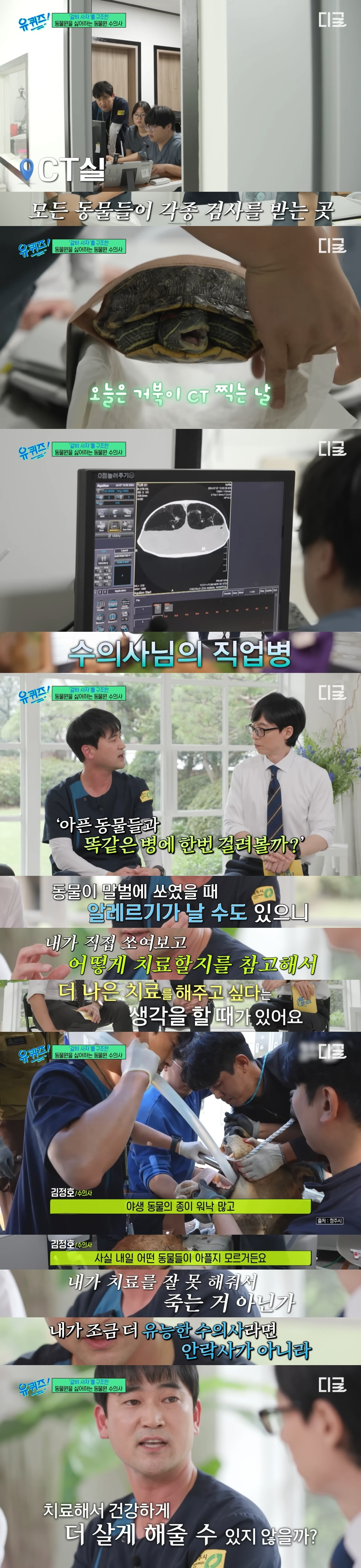 호랑이 내성 발톱 치료를 위해 목숨까지 거는 수의사 | 인스티즈