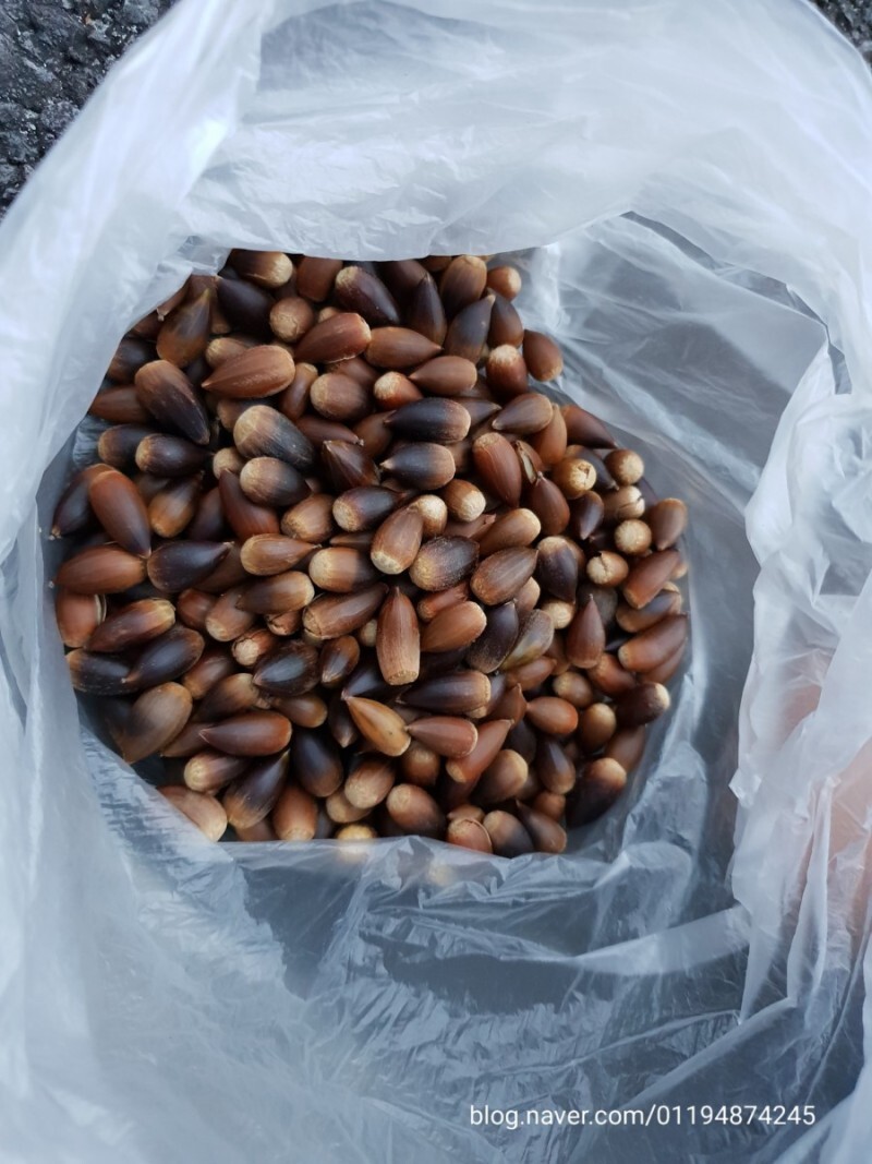 518ba55c8ce9c76d9f2257b9c9465c1d90d876a0