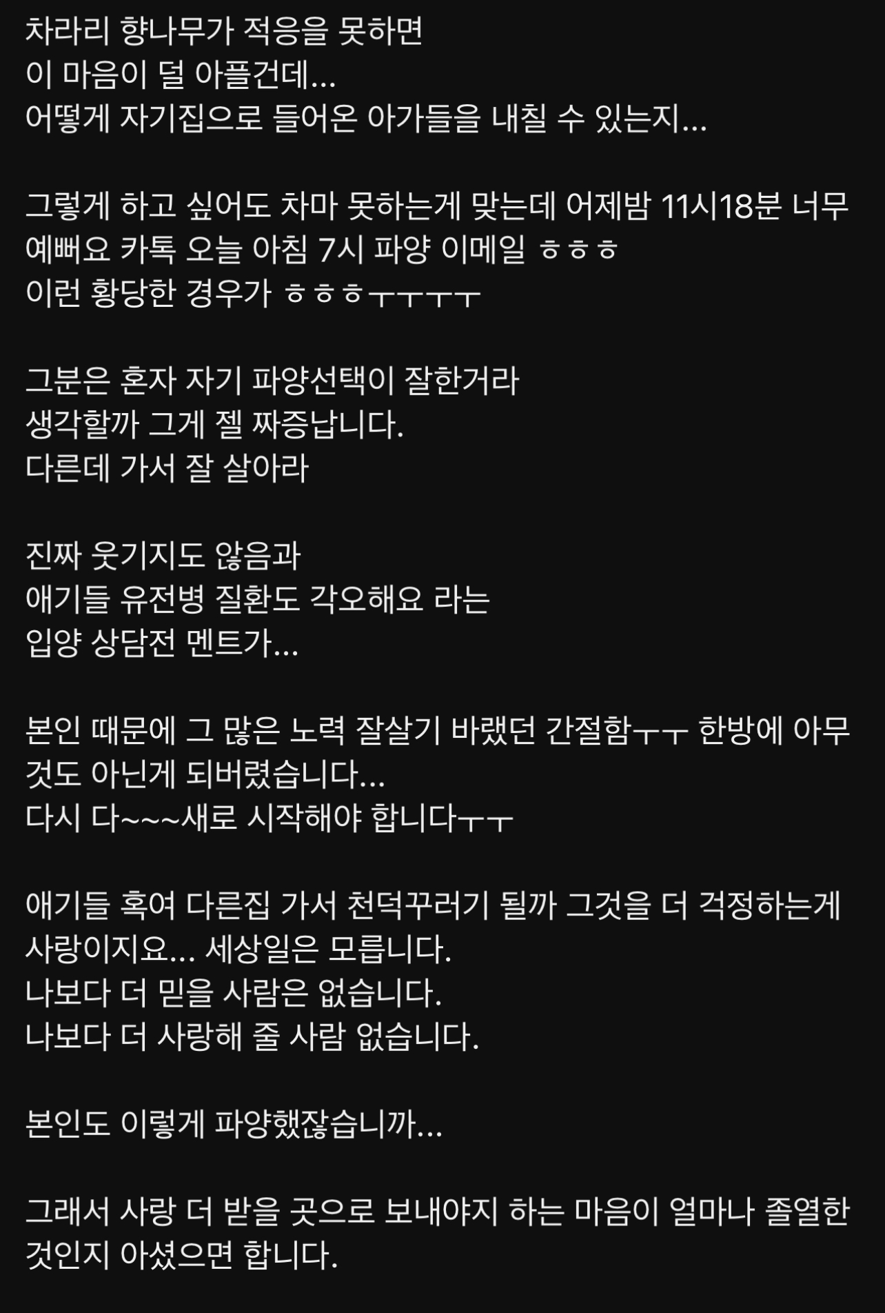 구조된 고양이가 입양갔는데 사람을 너무 잘 따른다는 이유로 파양됨 | 인스티즈