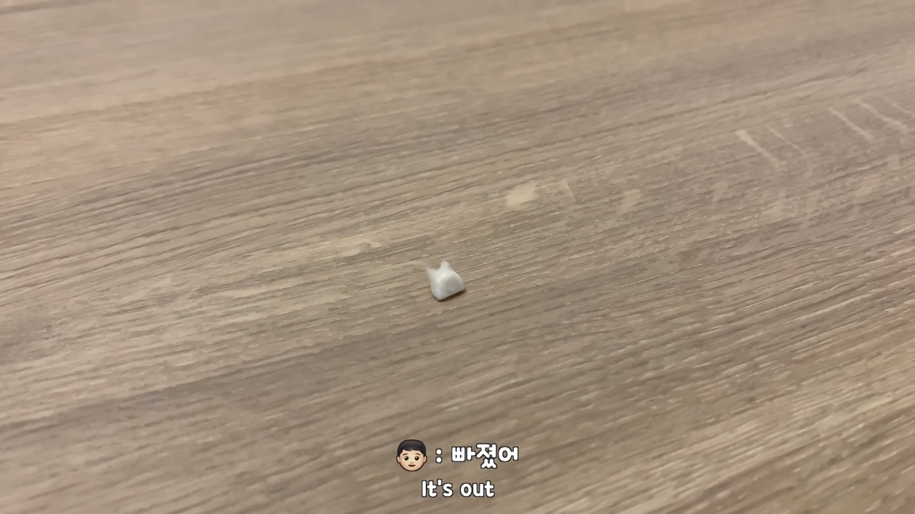 사모예드와 흔들리는 이 뽑는 법 | 인스티즈