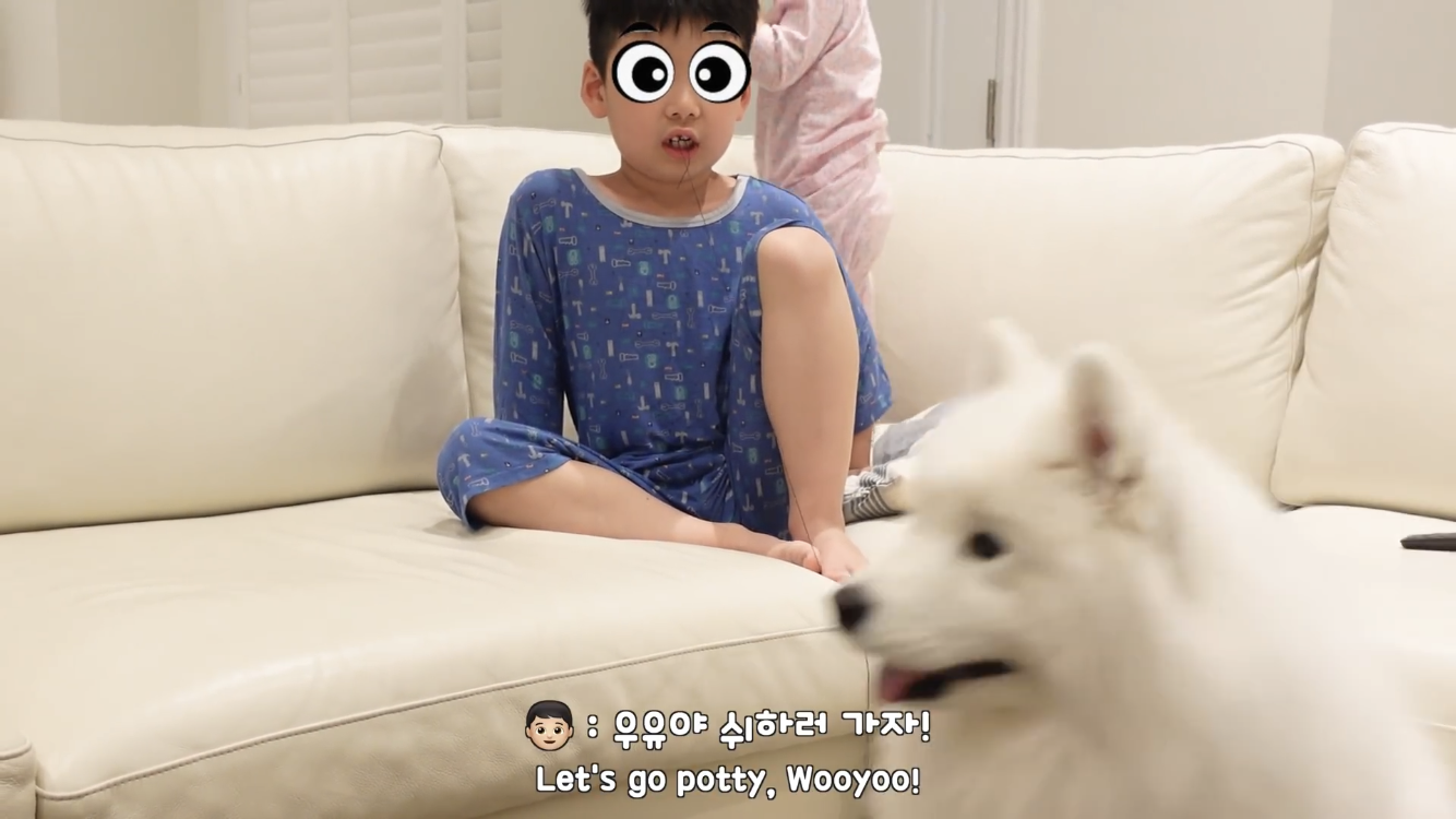 사모예드와 흔들리는 이 뽑는 법 | 인스티즈