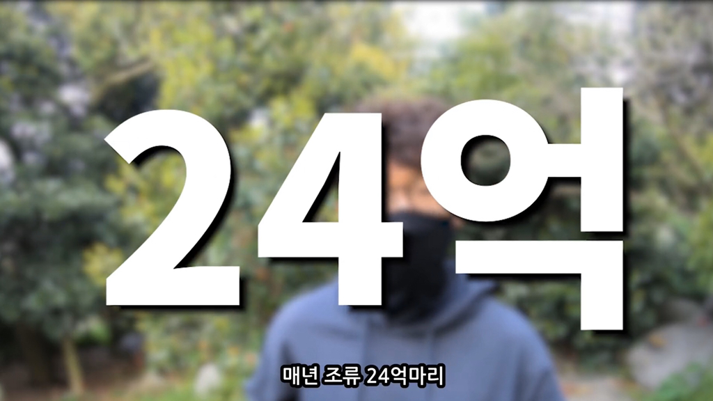 고양이가 자연생태계에 끼치는 심각한 영향(새 사체사진있음) | 인스티즈