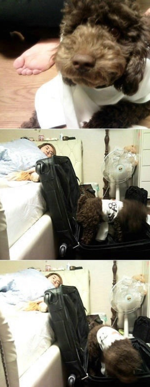 SS501 김형준 개사기 사건 + 현재 | 인스티즈