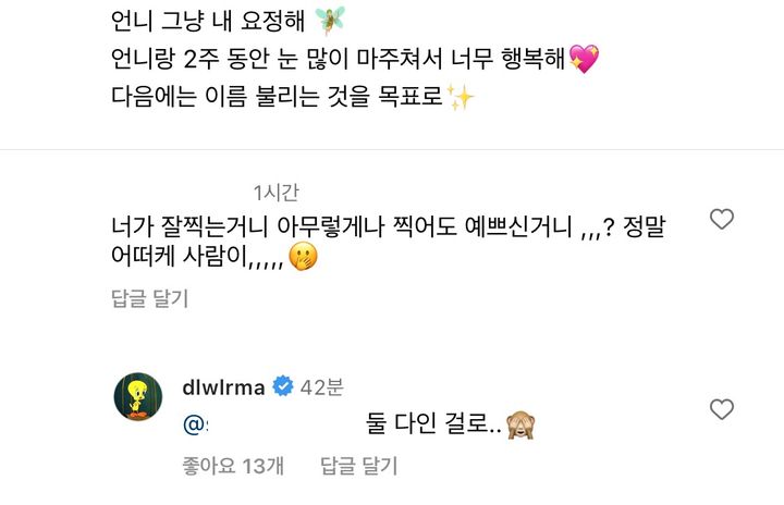 아이유가 인스타에 달고 있는 댓글 | 인스티즈
