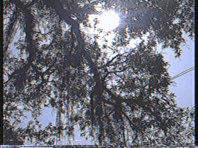 요즘 다시 유행하는 레트로 캠코더.gif | 인스티즈