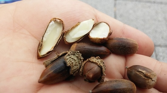 51f171e595ec12a959d87ff82f2a02d0ffb85188