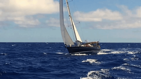 돛을 올려라 바람결을 따라 노를 저어라 늘 그래왔듯이🌊 | 인스티즈