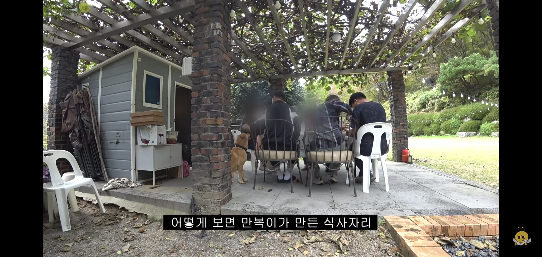 갑자기 유튜버 집에 들어온 떠돌이개가 알고보니 부잣집 도련님이었음.jpg | 인스티즈