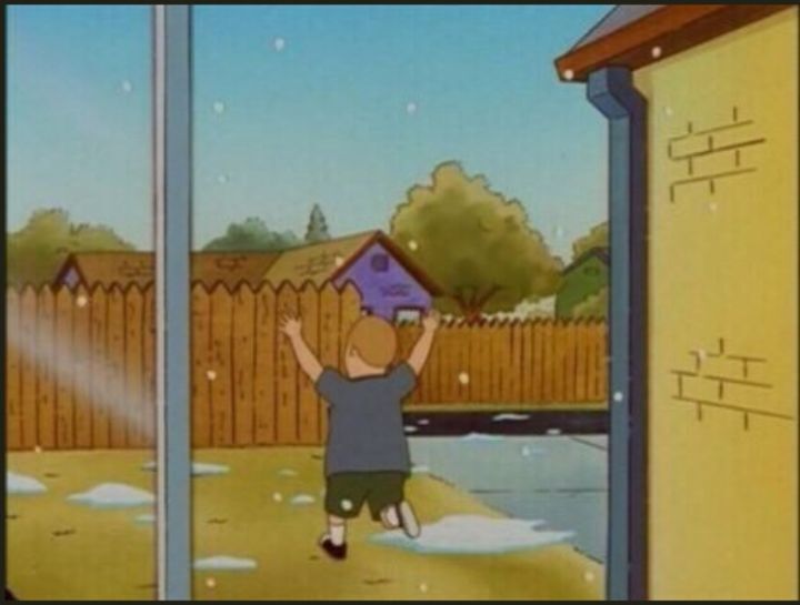 칼든병아리는 어디서 시작했을까 | 인스티즈