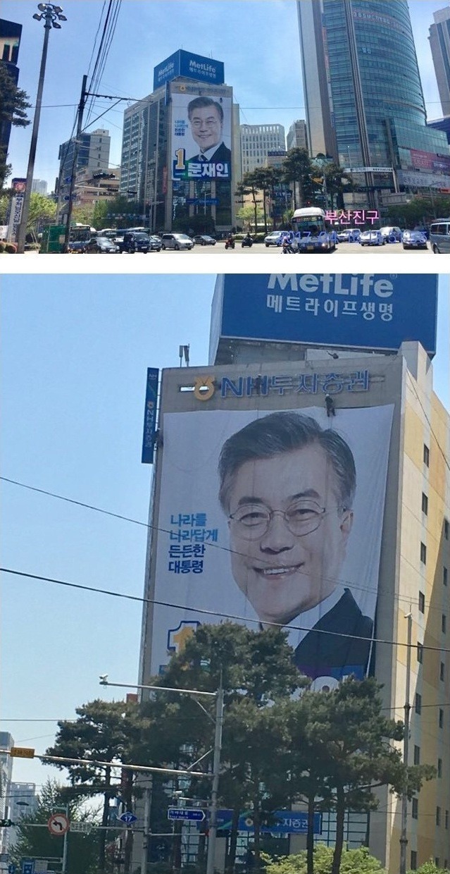 손혜원 영입 후 바뀐 민주당 디자인(수정) | 인스티즈