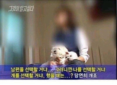 피식짤 모음 | 인스티즈