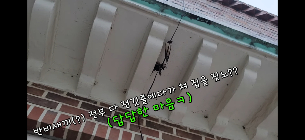 금은보화가 들어있는 박씨를 얼마나 받을지 궁금한 매탈남 | 인스티즈