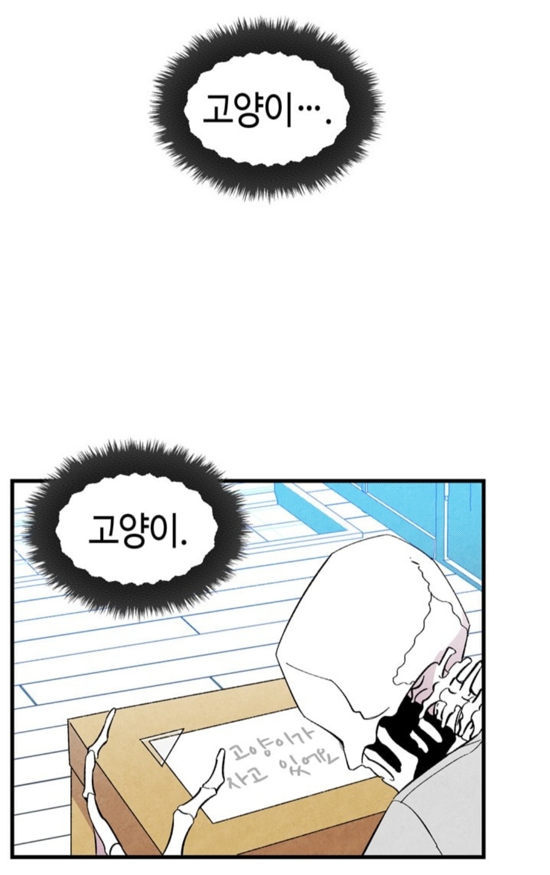독립하면서 고양이를 분양받았는데... 돌연변이가 왔어요...; | 인스티즈