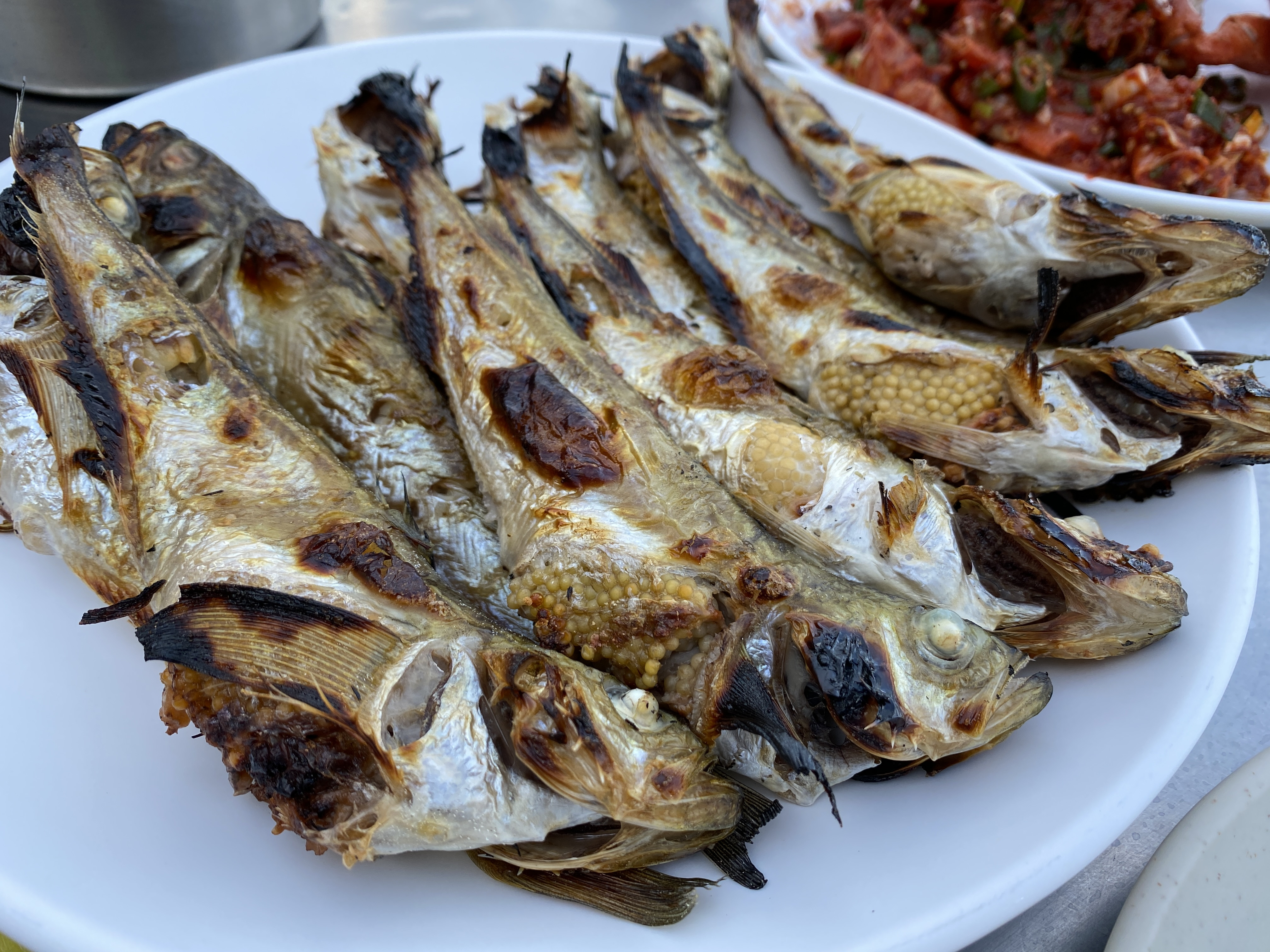 강원도 가서 먹기만 하는 강원도(속초) 쳐돌이가 먹는것들 🦑🦀🐟 | 인스티즈