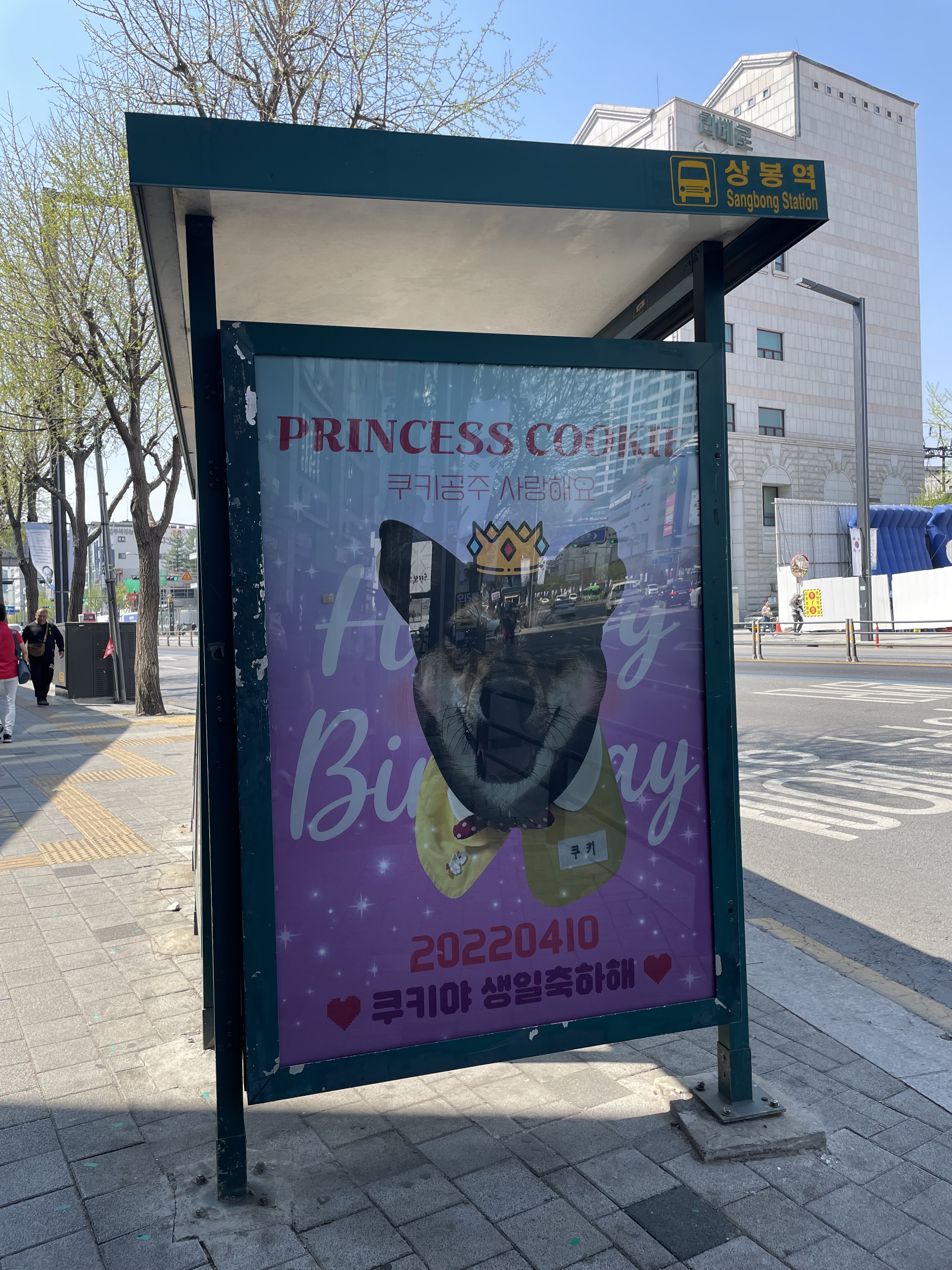 버정에 갱쥐 생일 광고있어ㅠㅠ | 인스티즈