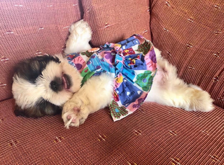 52df14dcf6be4bedd282ff6bf81fdb090d44e8b3