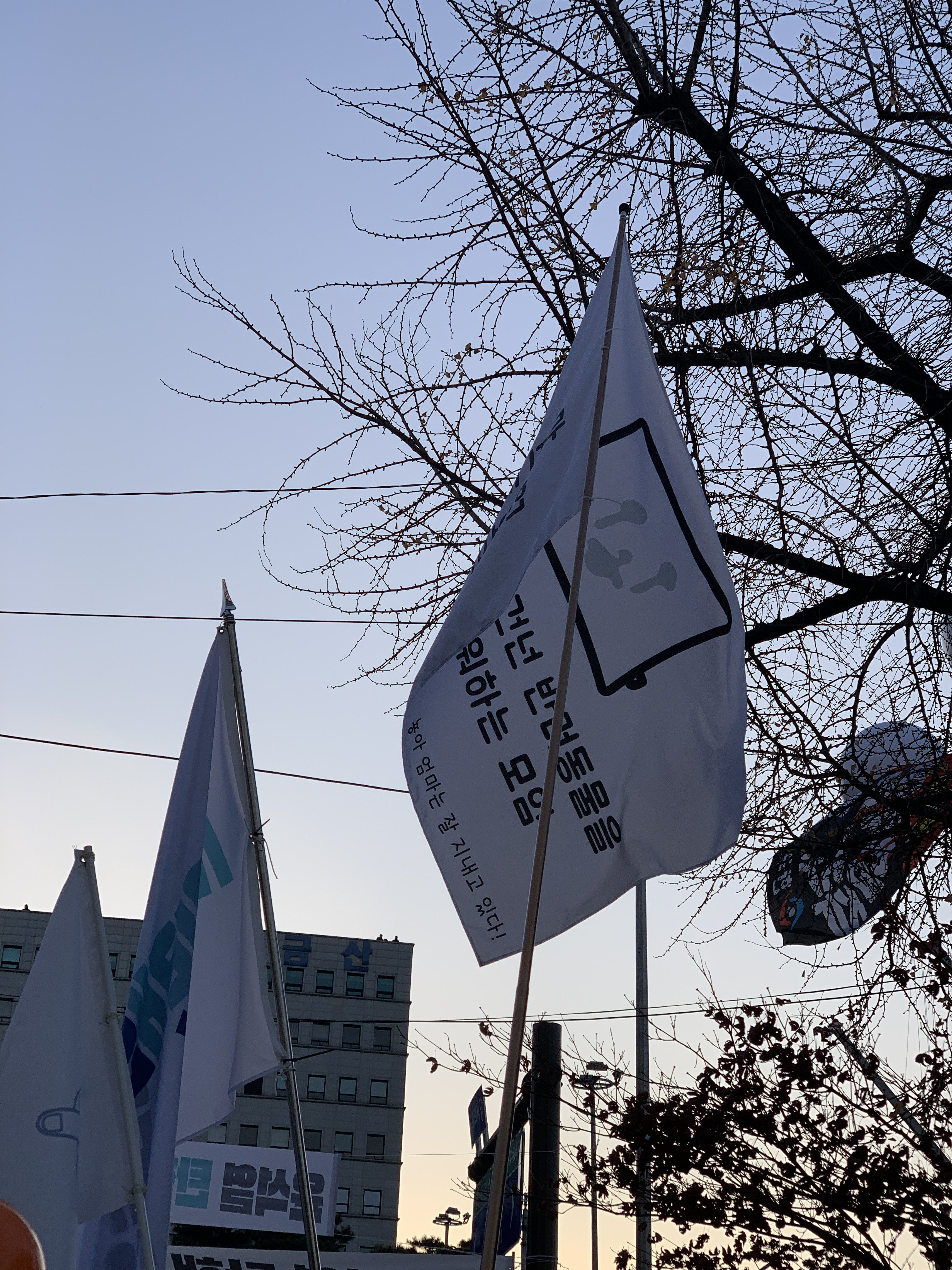 저는 오늘 "무지개다리를 건넌 반려동물을 한없이 그리워 하는 모임” 깃발 아래 있었답니다 | 인스티즈