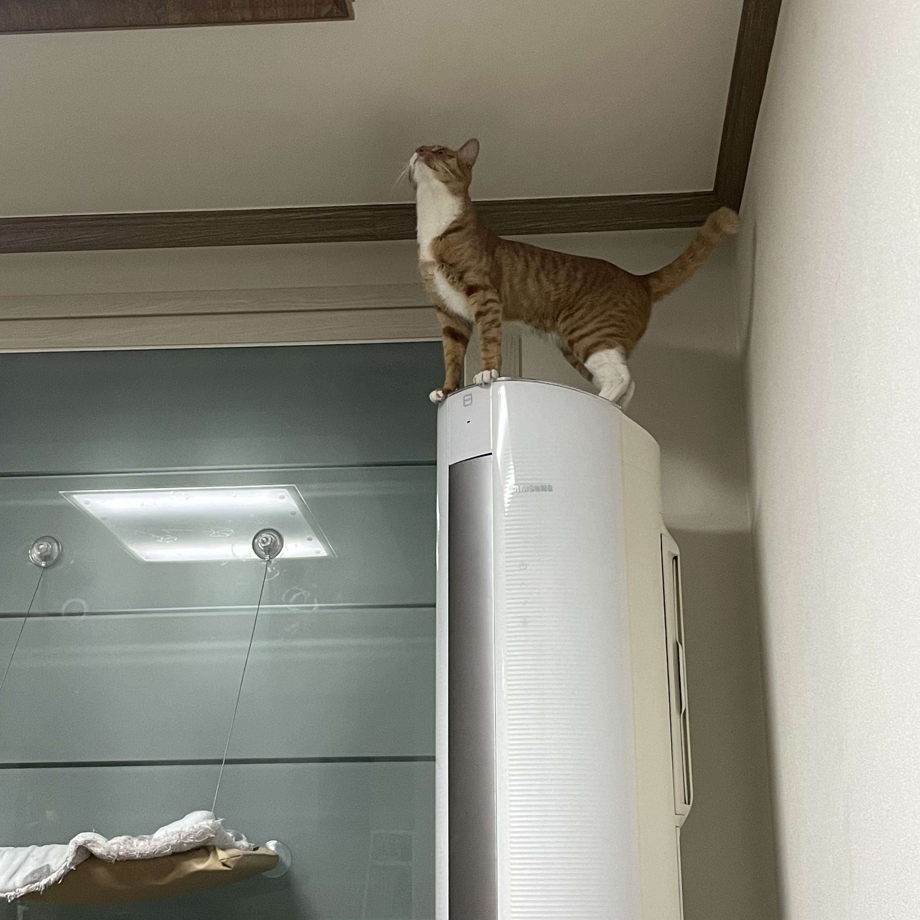 가... | 인스티즈