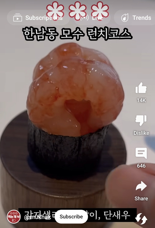 Daum 카페