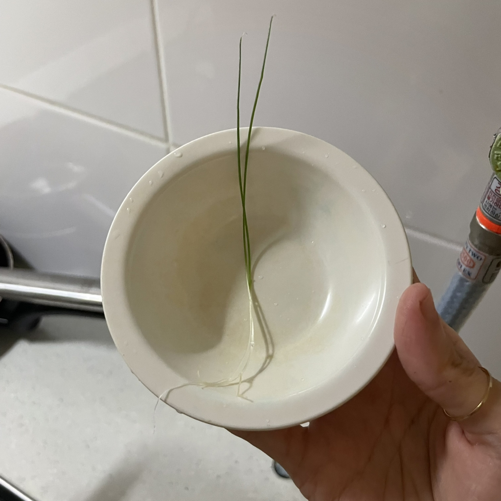 직접 기른 대파로 떡볶이 만들었어 | 인스티즈