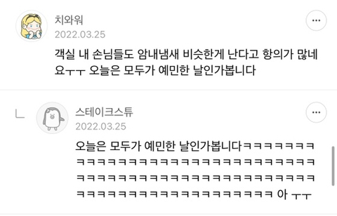 항공사면접질문에 별안간 개빡친 여시들 댓글캡쳐 | 인스티즈