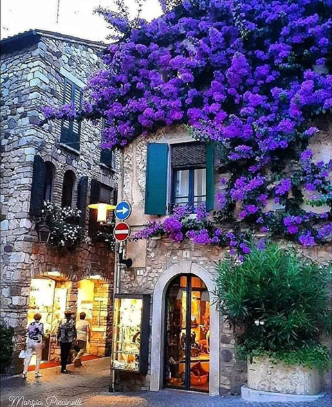 지방분들이 서울 오시면 꼭 들려야하는 곳들 추천 | 인스티즈