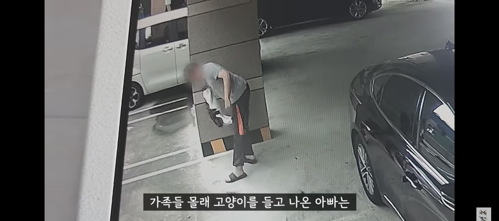 가족들 몰래 고양이를 갖다버린 아빠 | 인스티즈