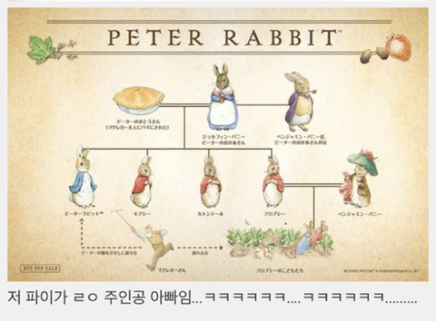 동화책 시리즈 피터래빗 주인공 아빠 어케 되었는지 앎?? | 인스티즈