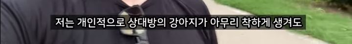 미국에서 강아지 산책 시키다 어느 한국인이 욕 먹은 이유 | 인스티즈