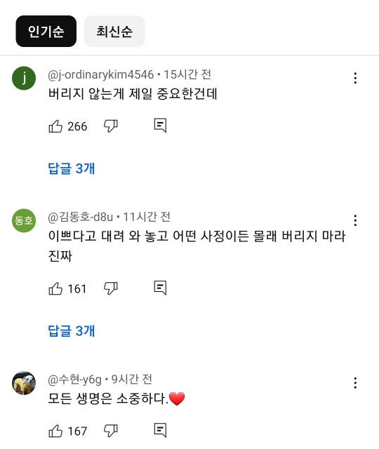 예전과 달라진 길고양이 급식소 겨울집 여론 | 인스티즈