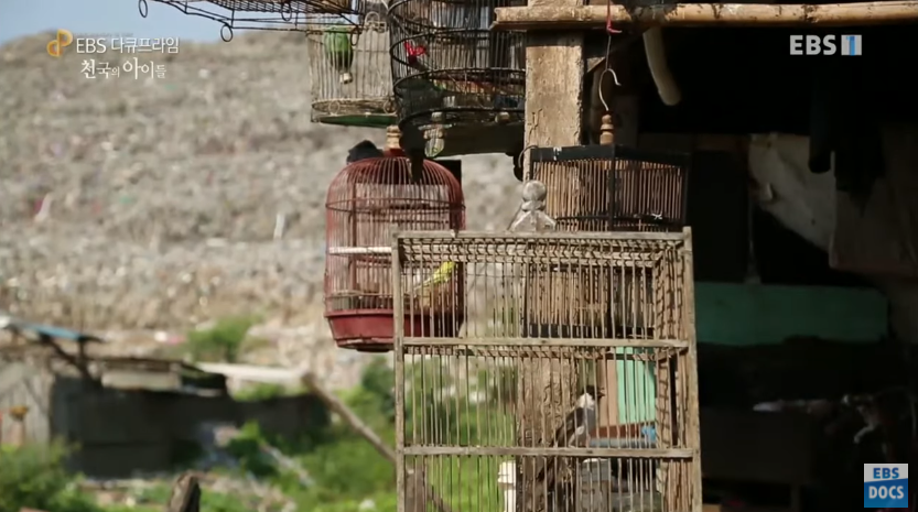 자극적 영상이 많아진 요즘, 안보면 후회하는 글 | 인스티즈