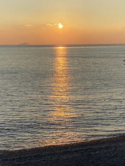 내남편이 설사를 했는데 (똥사진) | 인스티즈