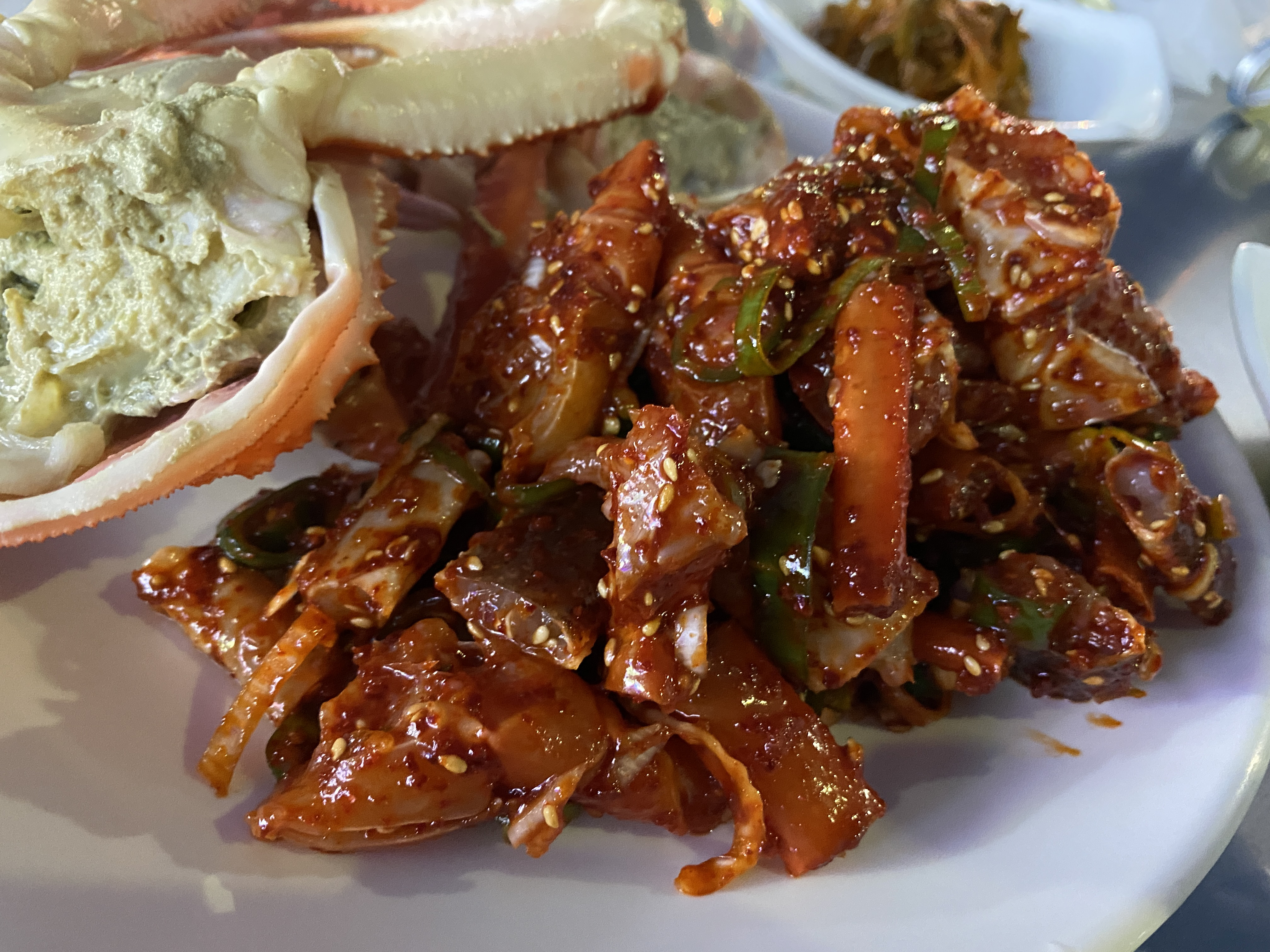 강원도 가서 먹기만 하는 강원도(속초) 쳐돌이가 먹는것들 🦑🦀🐟 | 인스티즈