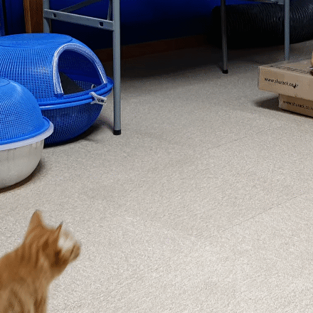 546021859095046cd02dbc35e4f060227b0a131d