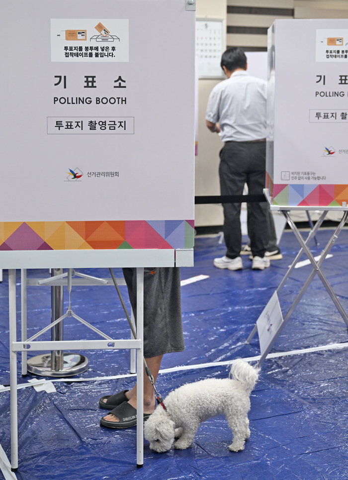 사전투표소 반려견, 아기 사진 모음 | 인스티즈