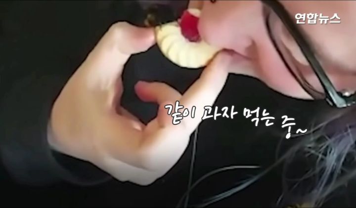 구해준사람 껌딱지 된 호박벌.jpg | 인스티즈