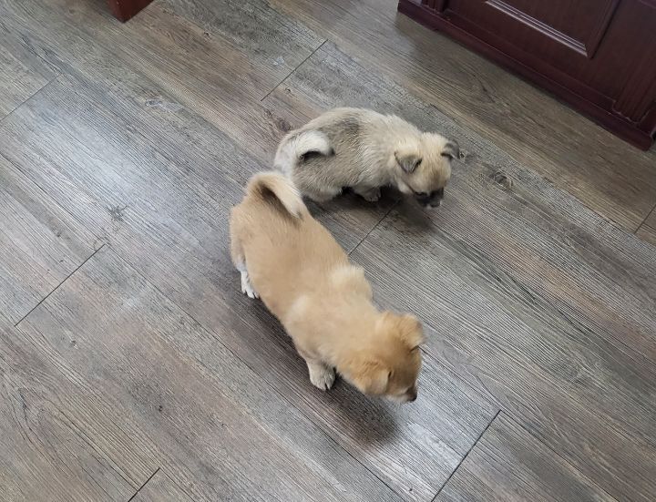 (공지라니... ++추가)새로생긴 회사 복지.. 미쳐서 도저히 일을 못하겠네.. (추가....)++추가 | 인스티즈