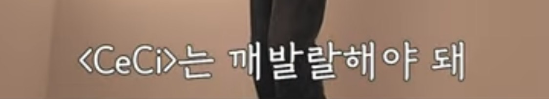 강소라 설명으로 보는 블랙핑크, 설리 화보! | 인스티즈