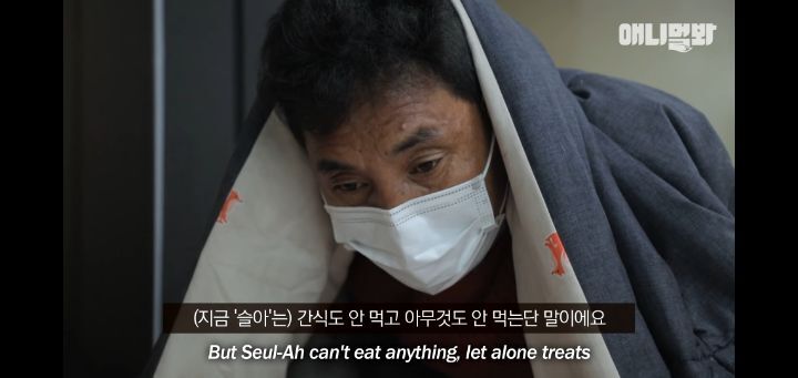 죽을것같은 우울증에 걸린 강아지 | 인스티즈