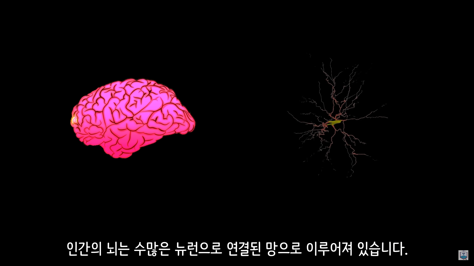 버섯이 단어와 문장을 사용해 서로 대화하고 있을지도 모른다고? | 인스티즈