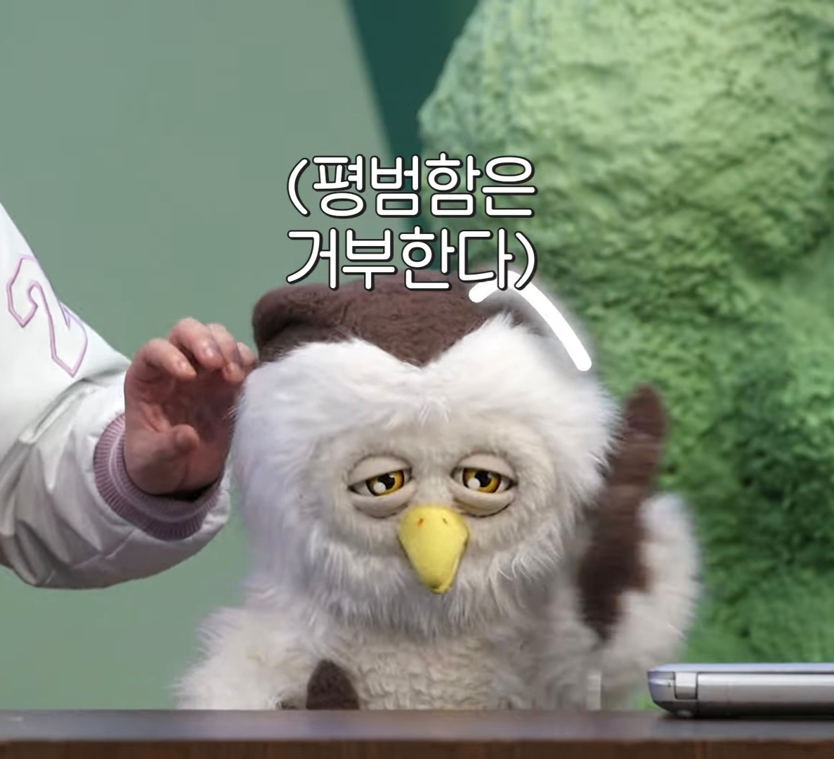 딩동댕 이미지
