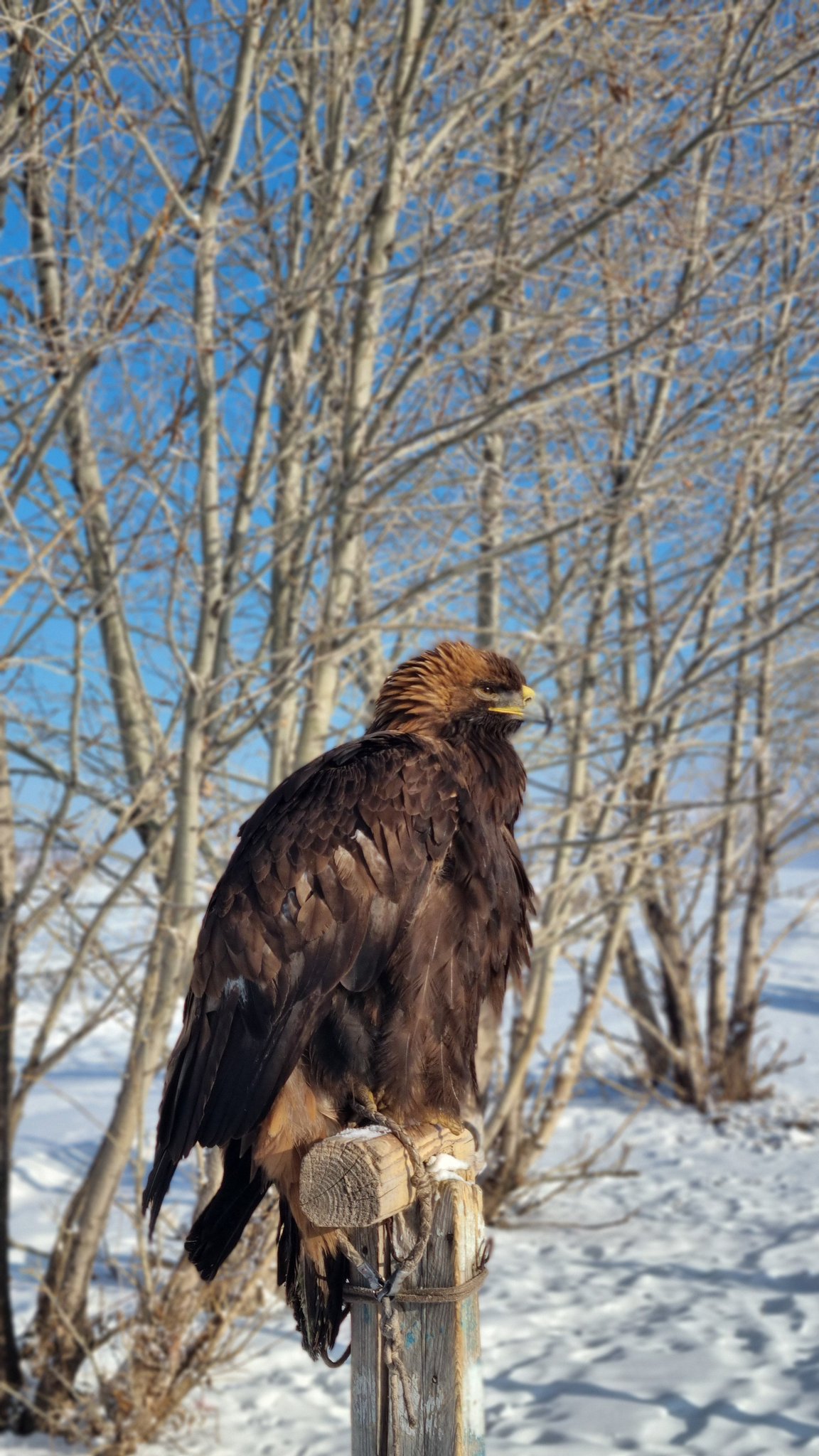 몽골에 가면 생각 정리 하게 돼서 참 좋아.twt | 인스티즈
