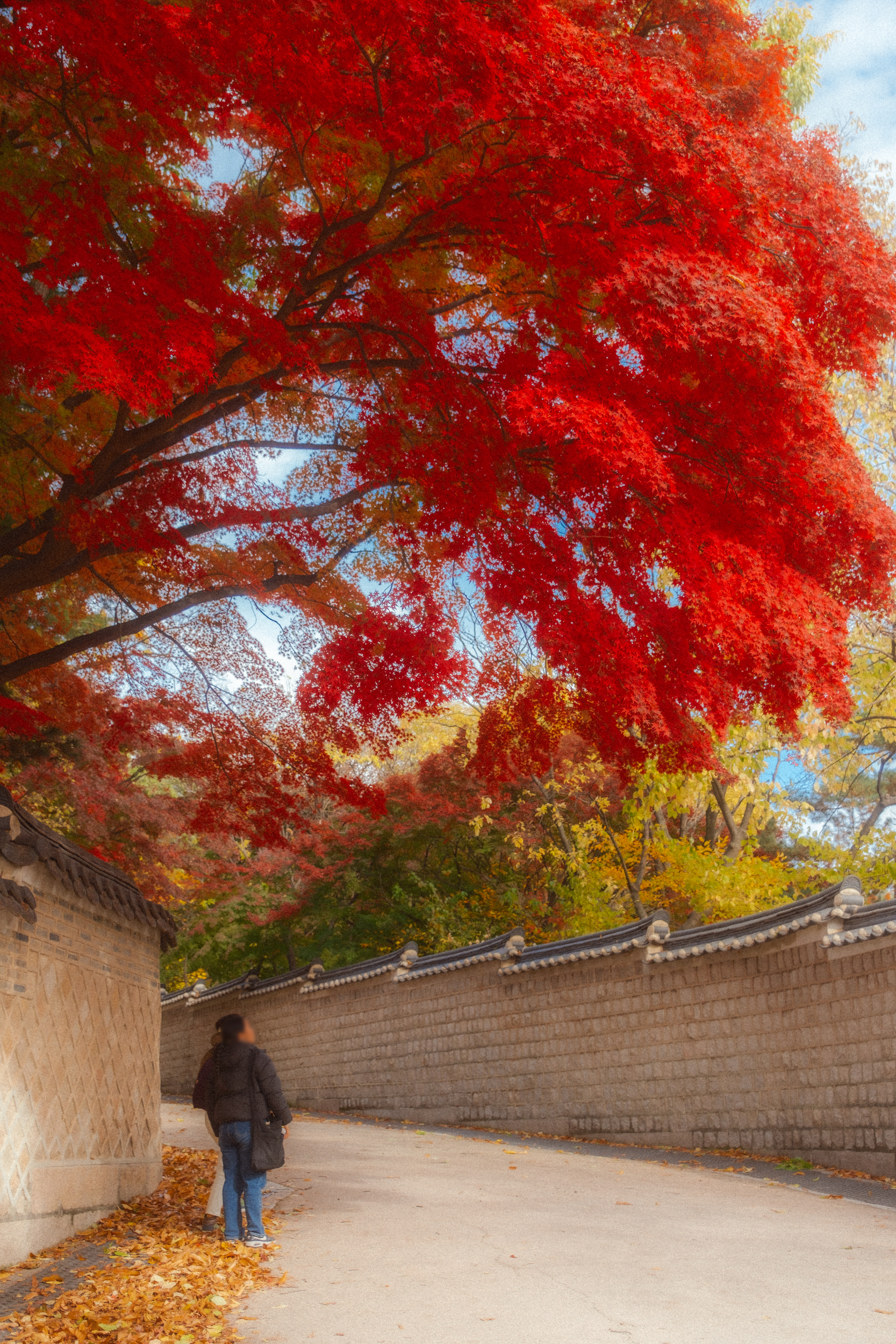 어제 담아온 가을 🍂 | 인스티즈