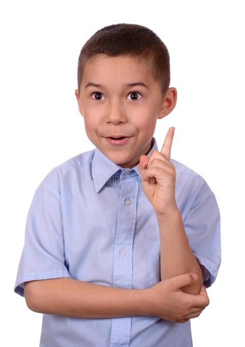 날파리는 왜 사람 얼굴로 돌진하나요 | 인스티즈