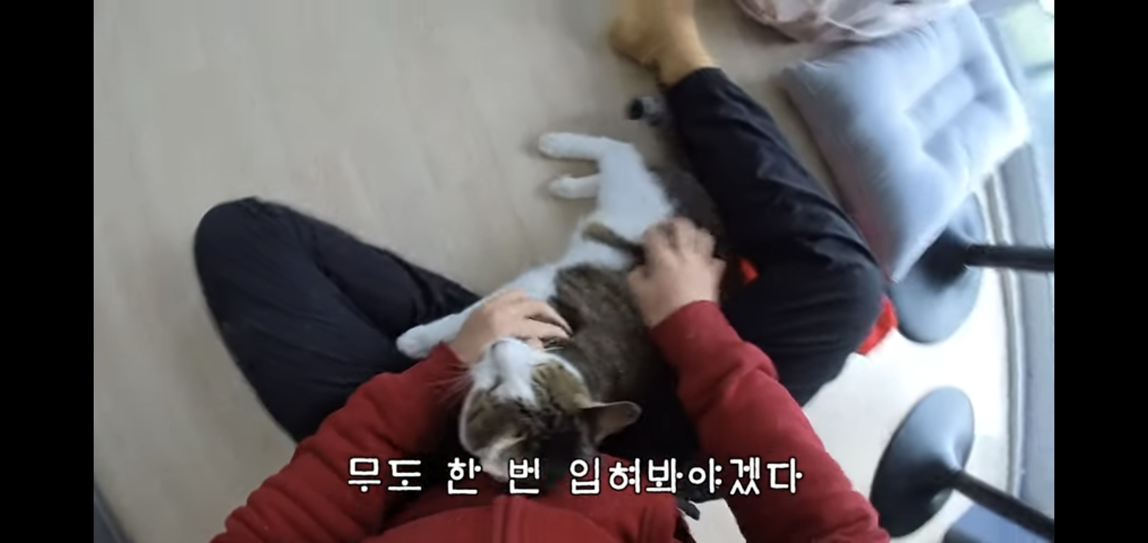 썸네일 보자마자 말벌아저씨마냥 달려간 오늘자 hahaha 영상.jpg | 인스티즈