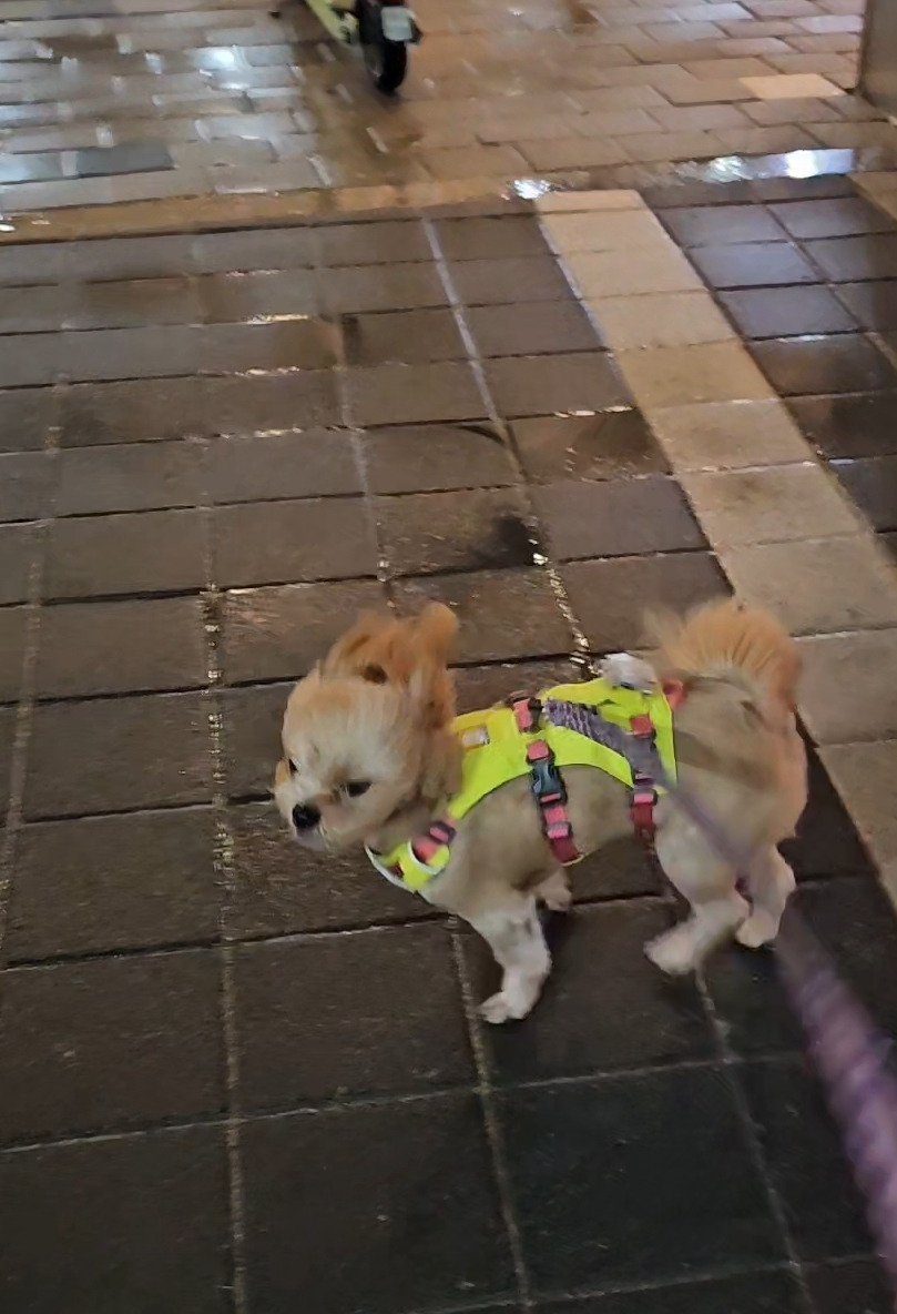 애기랑 강릉왔는데... | 인스티즈